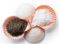 Martha Stewart Shell Salt and Pepper Dishes